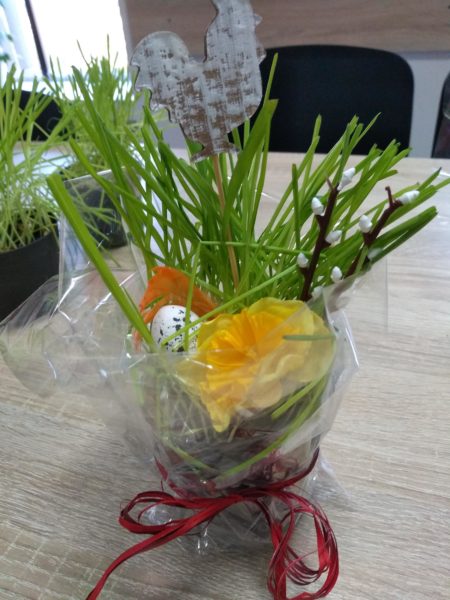 Na zdjęciu stroik wielkanocny na stole. Młody owies w doniczce, bazie, jajko i wiosenny kwiat, owinięte w celofan