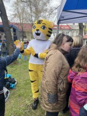 Dziecko przybija piątkę maskotce marszu - tygrysowi