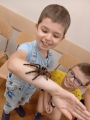 Chłopczyk trzyma pająka na ręce