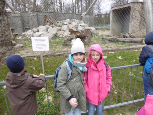 Dziewczynki na tle wybiegu w zoo