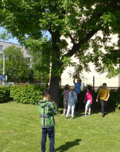 dzieci odnajdują kopertę zawieszoną na drzewie