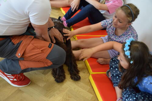 Dzieci głaszczą psa, który przed nimi leży. 