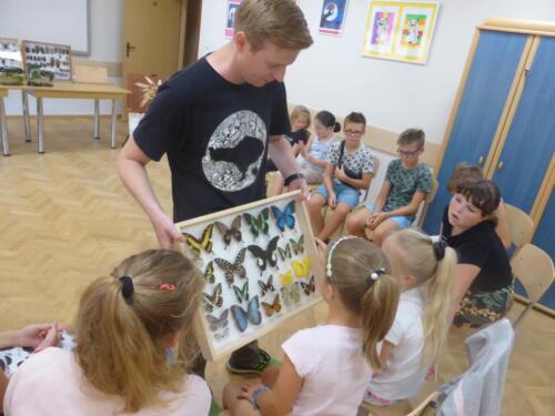 Dzieci podziwiają kolekcję motyli w gablocie