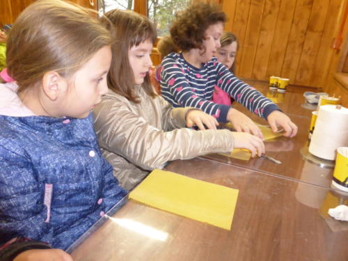 Dzieci uczą się robić świeczki z wosku pszczelego